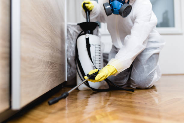 Best Pest Control for Restaurants  in Trinity, TX