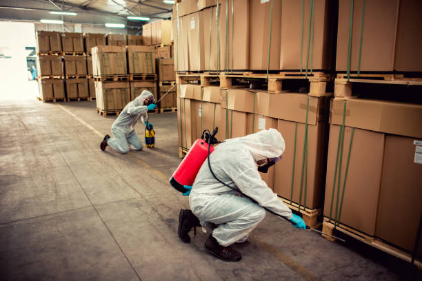Reliable Trinity, TX Pest Control Solutions