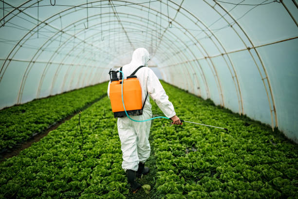 Best Pest Control for Businesses  in Trinity, TX