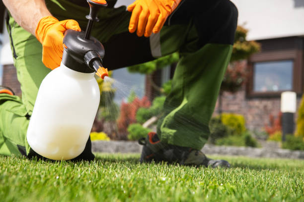 Best Rodent Control Near Me  in Trinity, TX