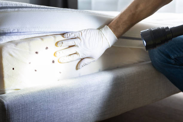 Best Affordable Pest Control Services  in Trinity, TX
