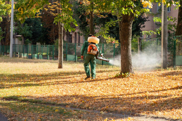 Best Residential Pest Control  in Trinity, TX