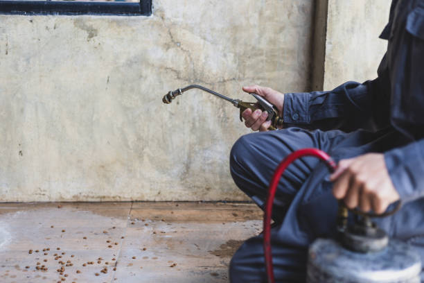 Pest Control for Restaurants in Trinity, TX